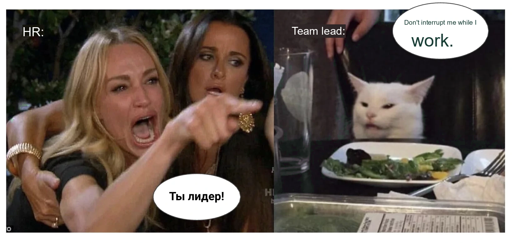 Performance Review Dialogue Meme